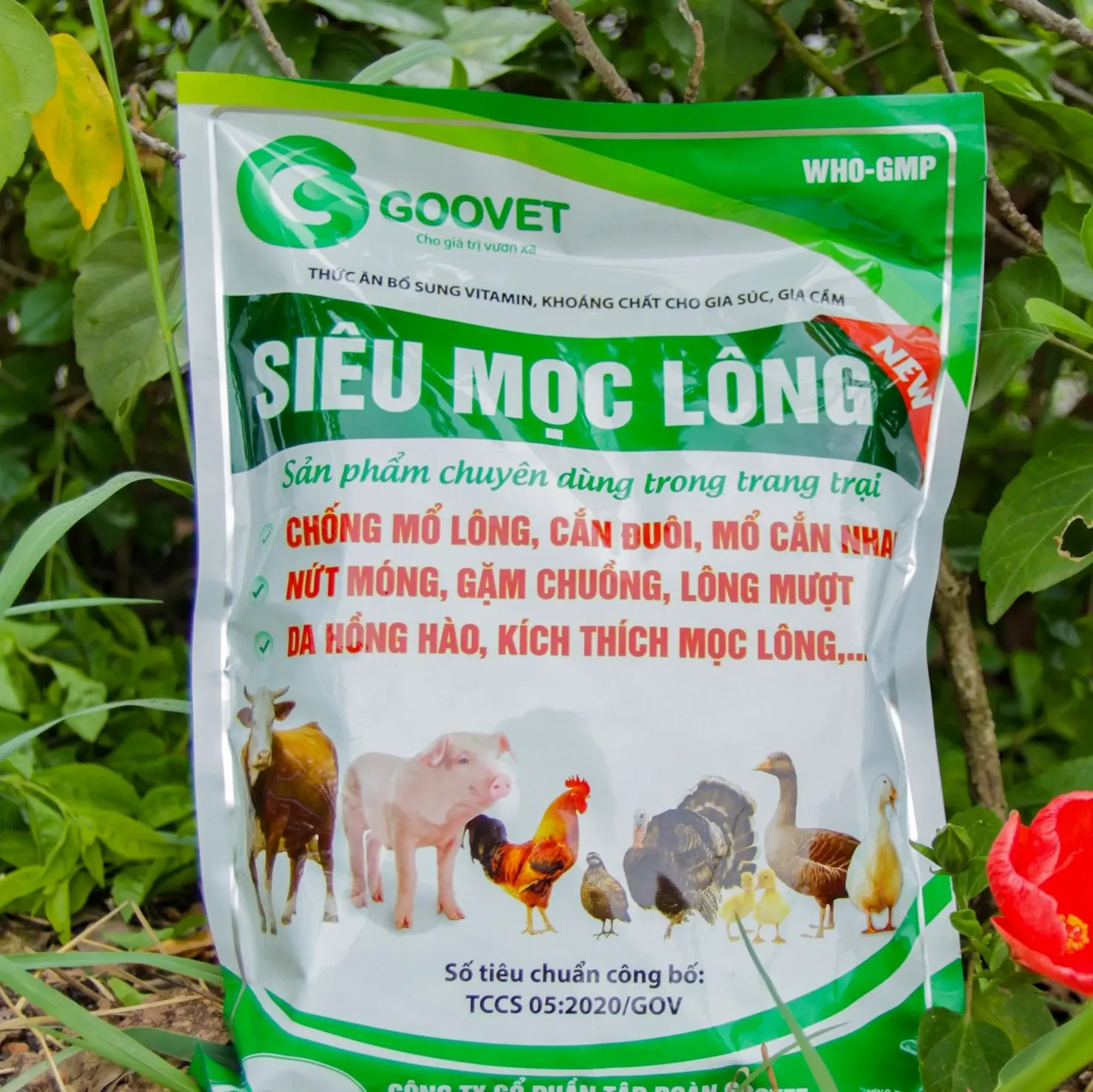 SIÊU MỌC LÔNG (1KG) - Chống mổ lông, cắn đuôi, mổ cắn nhau, nứt móng, gặm chuồng, mọc lông, lông mượt, da hồng hào,