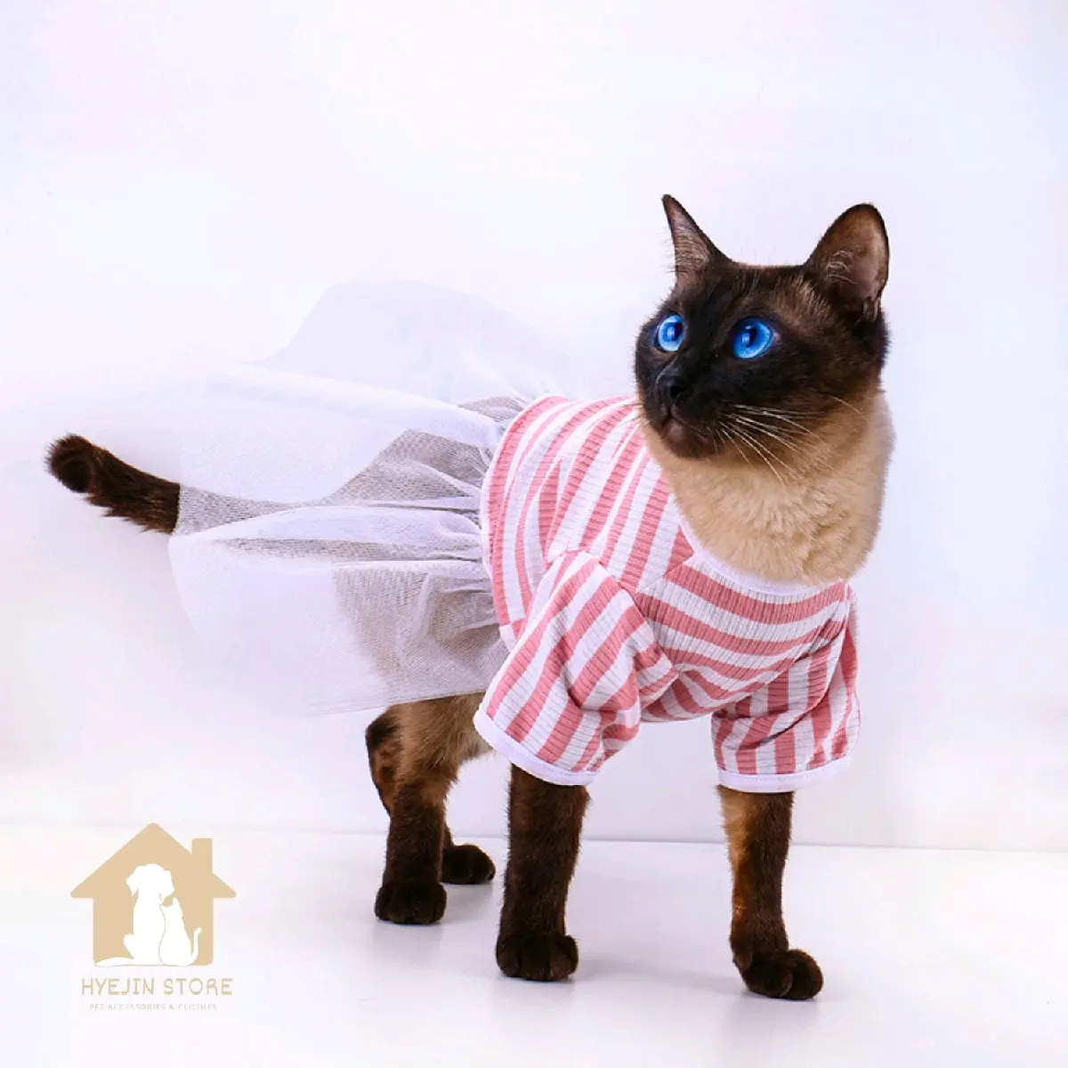 Ballet dress | Baju anabul kucing doggie dress ballet pink