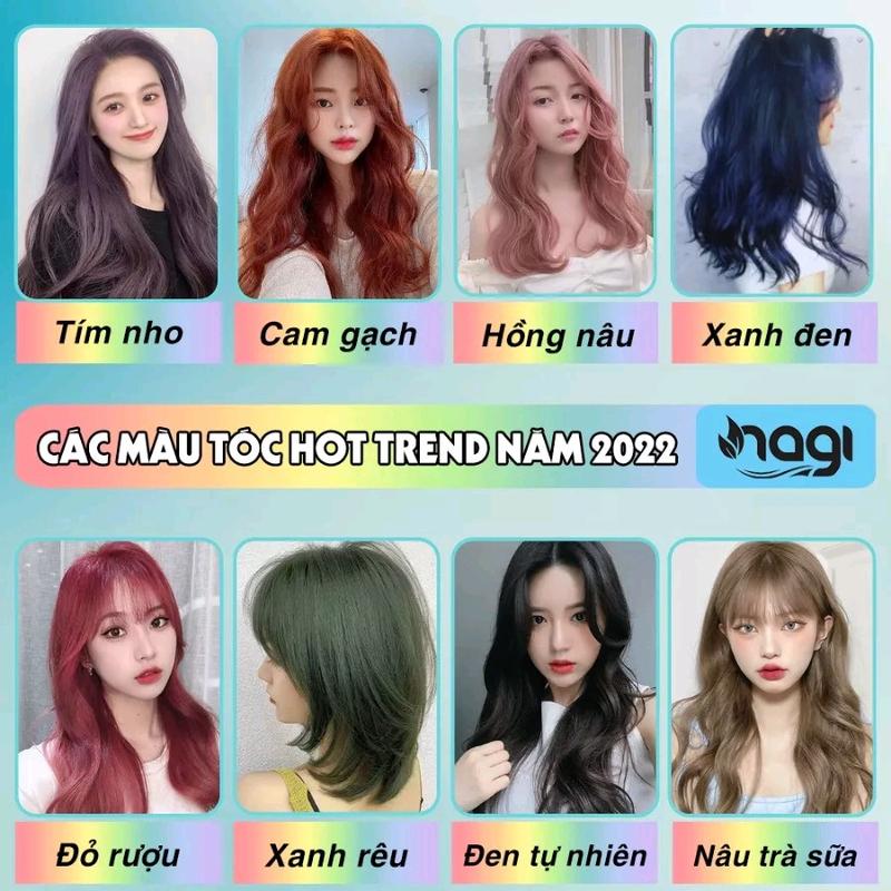 [ Tặng Kem Ủ Tóc] DẦU GỘI NHUỘM TÓC THẢO DƯỢC NAGI Đổi Màu Tóc dau goiti luockomi