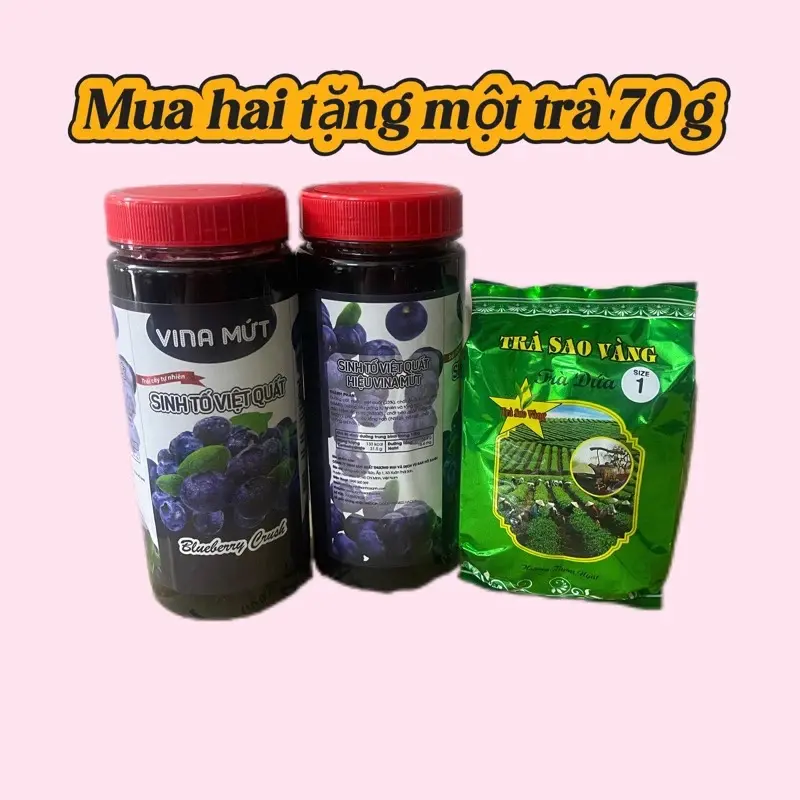 KHUYẾN MẠI  MỘT TRÀ 70G KHI MUA 2  Sinh Tố Trái Cây bất kỳ Vina Mứt 1000ml/ Đào, Dâu ,Ổi , Kiwi, mãng cầu … 5