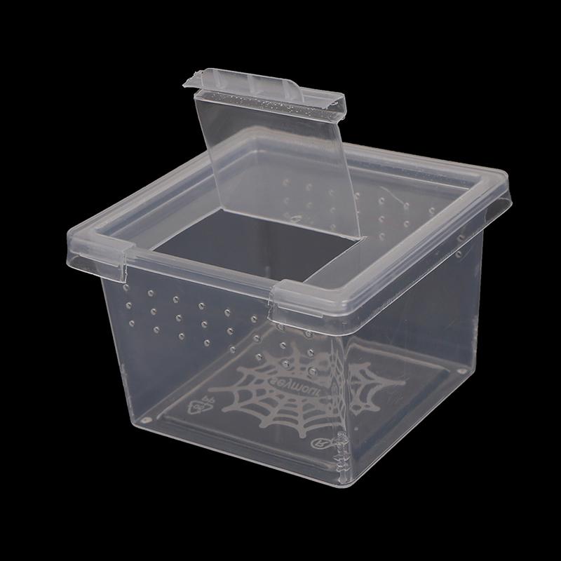 Product Introduction of Plastic Insect Spider Habitat Feeding Box Case Container Tank Transport Case Toy 13