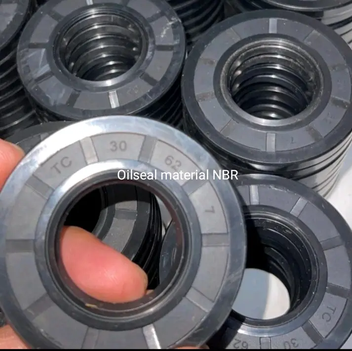 Oilseal kincir tambak 30x62x7 1