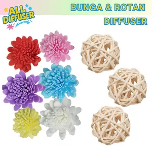 Bunga Sola Flower Reed Diffuser Stick Bunga Kering Pengharum Ruangan Dekorasi Estetik