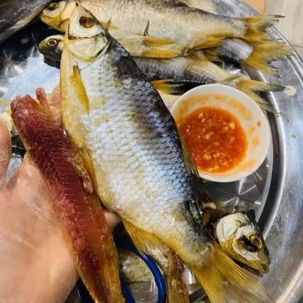 Cá khô Astrakhan Nga, cá muối của Nga Food