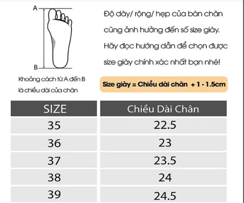 Product Introduction of Dép nữ xỏ ngón hai quai khóa vuông 3 MÀU TRẮNG ĐEN BE( Form chuẩn) DéP Shoes Nhung Jean 0