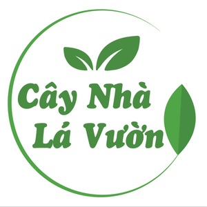 Cây Nhà Lá Vườn 1993
