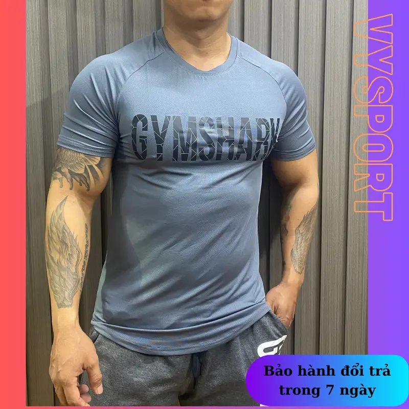Áo thun nam gym vải mè lổ kim Top Sport 0