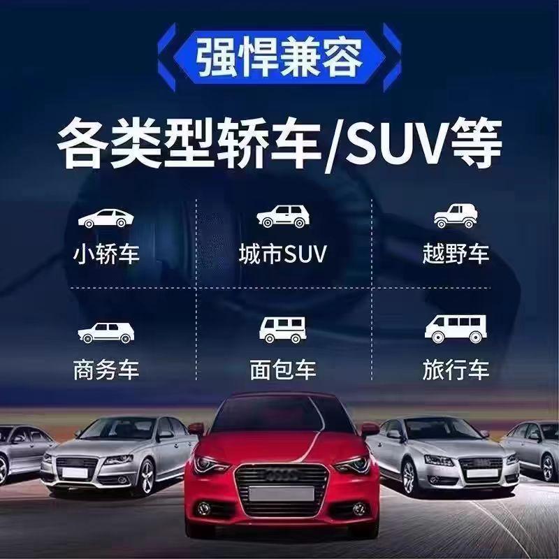 Product Introduction of Faye Wong Album U Disk Songs Classic Old Songs Cantonese Nostalgic Golden Songs Lossless High Sound Quality MP3 Car USB Drive 0