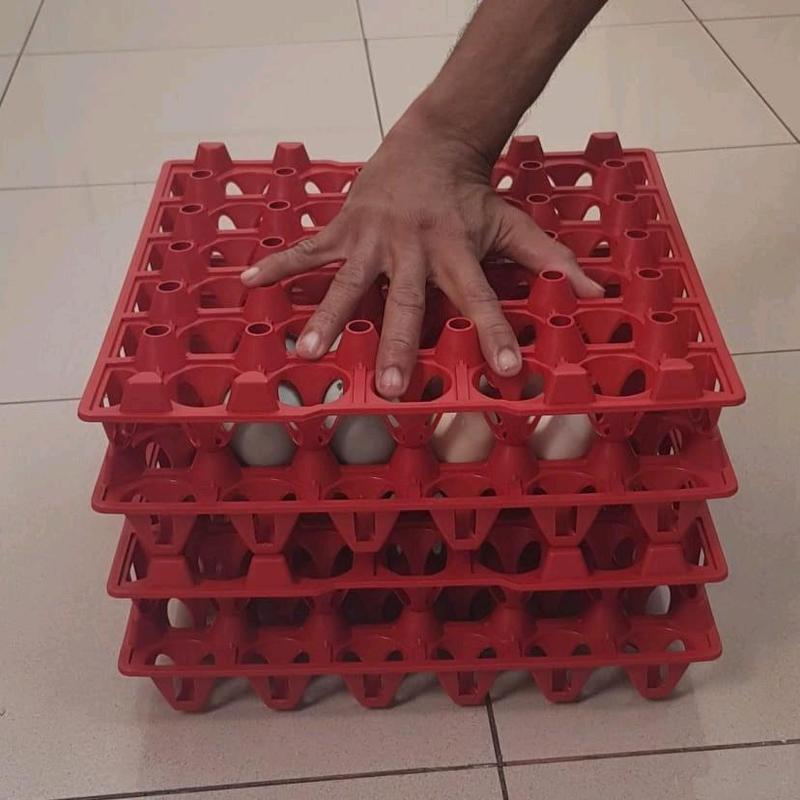 Jamin Tray Telur Bahan Plastik 1