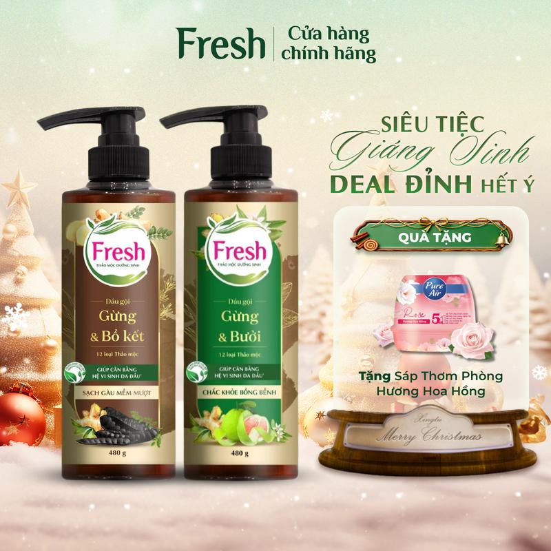 Combo 2 Chai Dầu Gội FRESH Thảo Mộc Dưỡng Sinh Chắc Khỏe Bồng Bềnh + Sạch Gàu Mềm Mượt 480g chai