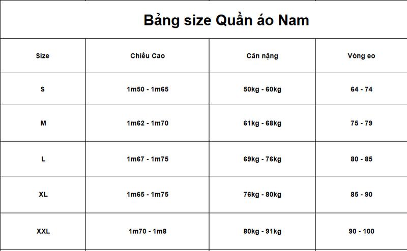 Product Introduction of Áo Polo Thể Thao Nam C35 Vải Co Giãn Mềm Mát Form Xuông Cầu Lông, Gym, Chạy Bộ Menswear 0