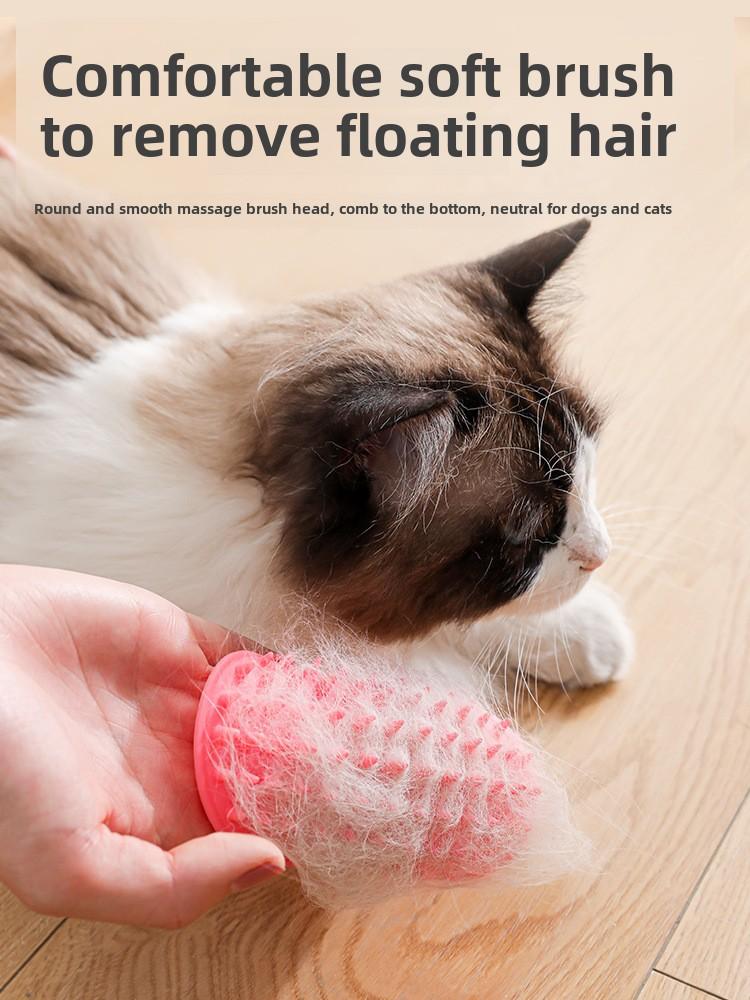 Product Introduction of Multifunctional Cat Scratching Tool Pet Scratching Tool Silicone Cat Toy Scratching Corner Table Strap Toys Cats Pet Toy 18
