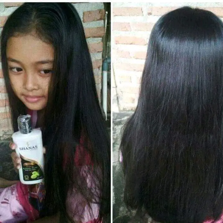 SHAMPO SHANAS PEMANJANG RAMBUT TERLARIS