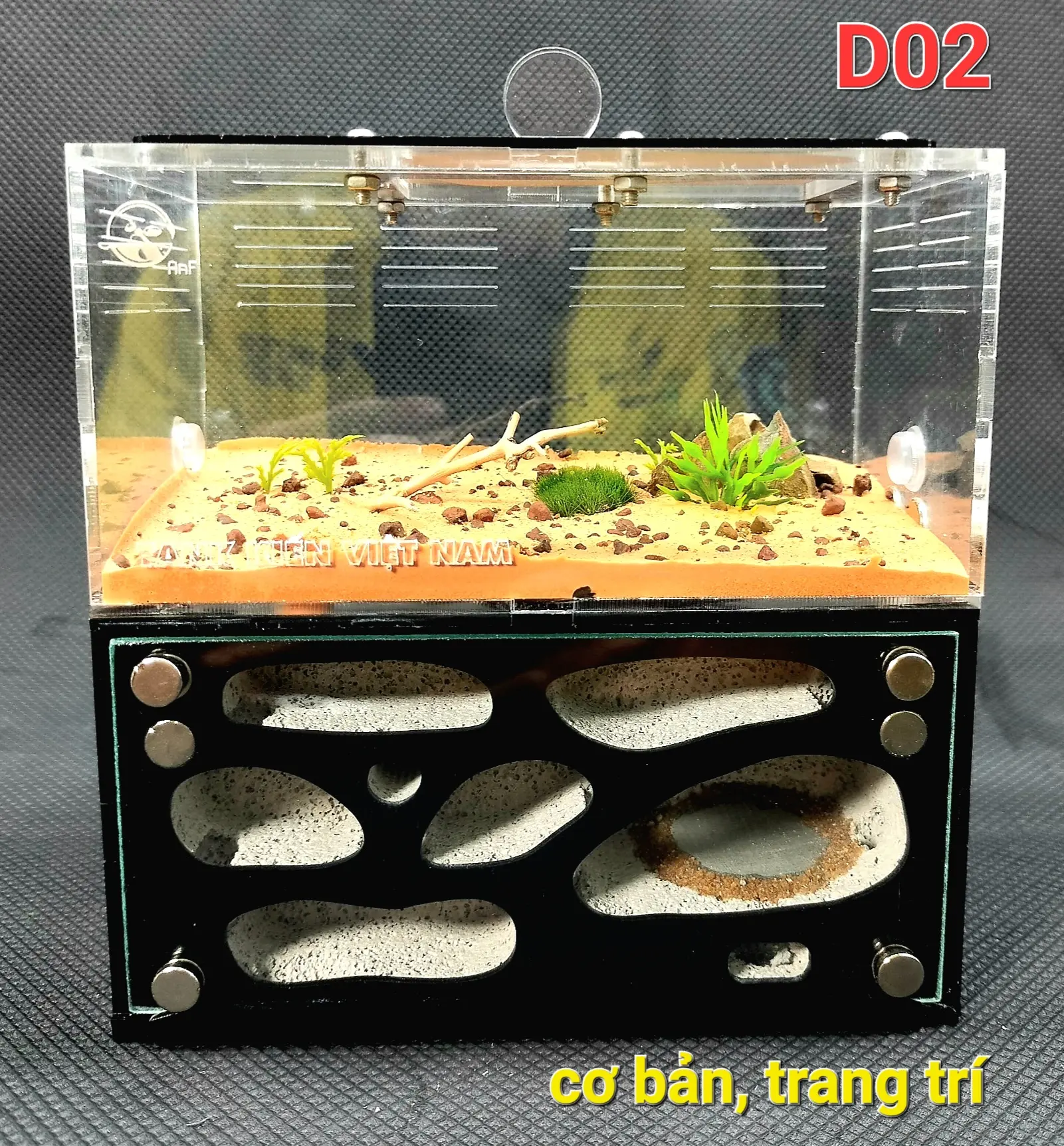 Hôp nuôi kiến - Tank kiến - D02