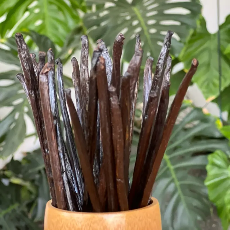 Quả vanilla khô nhập khẩu, 15-17cm, 50gr gồm 10-16 quả, tạo hương vani tự nhiên cho bánh, kem, sữa hạt và các thức uống 3