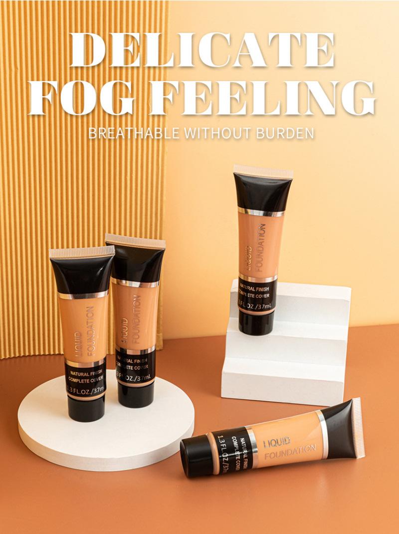 Product Introduction of Exclusive for Cross-Border Moisturizing Brightening Concealer Foundation Natural Long Lasting Oil Control BB Cream Waterproof Smear-Proof European and American Shading Powder 2