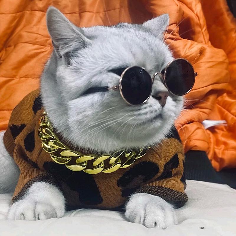 Mắt kính thời trang thú cưng - Mắt kiếng cá tính cho chó mèo - MINIMAL Pet