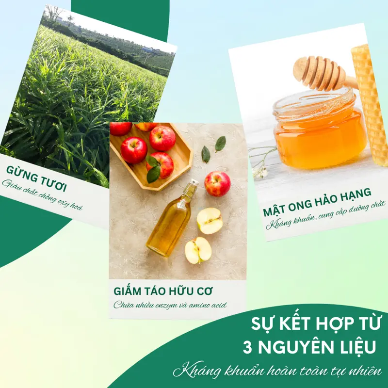 Mật Ong Gừng & Giấm Táo Miele Giúp Hỗ Trợ Hệ Tiêu Hóa, Sức Khỏe và Đẹp Da 250G 6