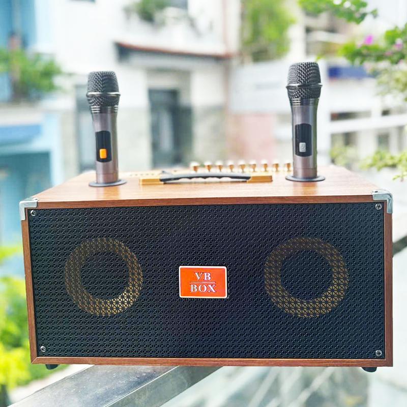 Loa karaoke xách tay V B Box - 6 6 9  2 bass 16cm 10 nút chỉnh nhạc kèm 2 micro chống hú