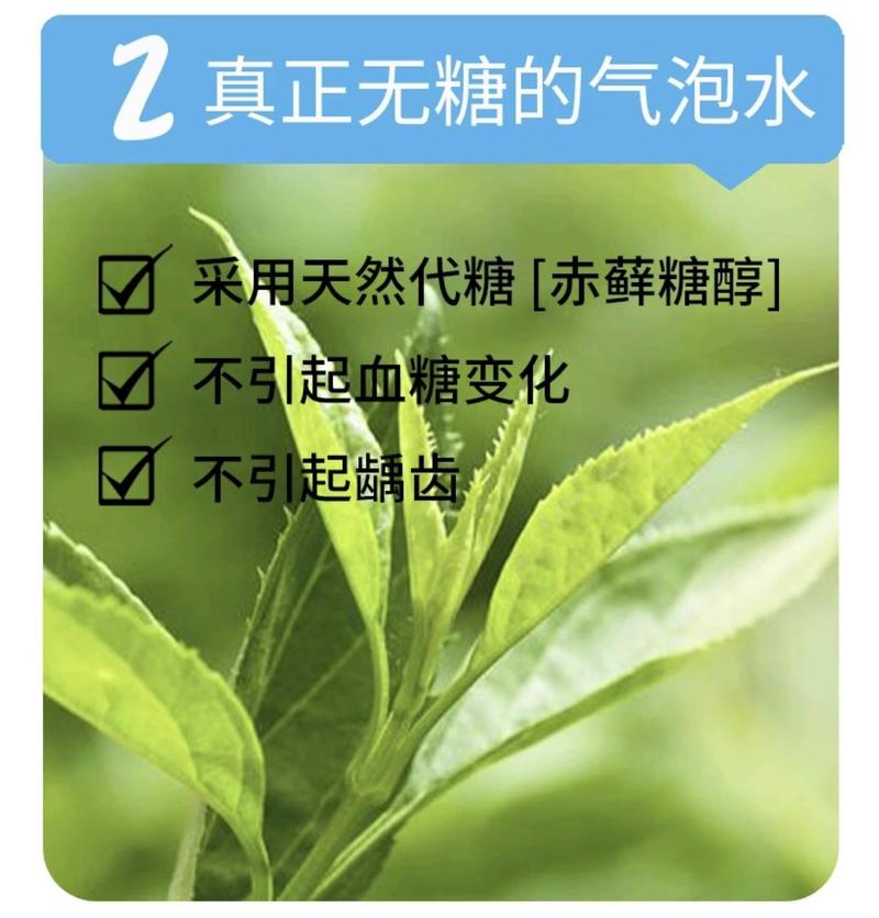 Product Introduction of Genki Forest Green Apple Flavor Soda 480ml 2
