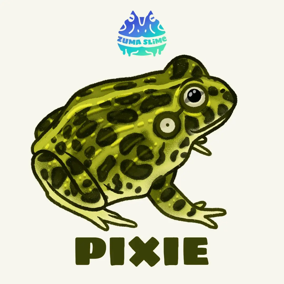 MAINAN BERGERAK PIXIE LUCU ZUMASLIME