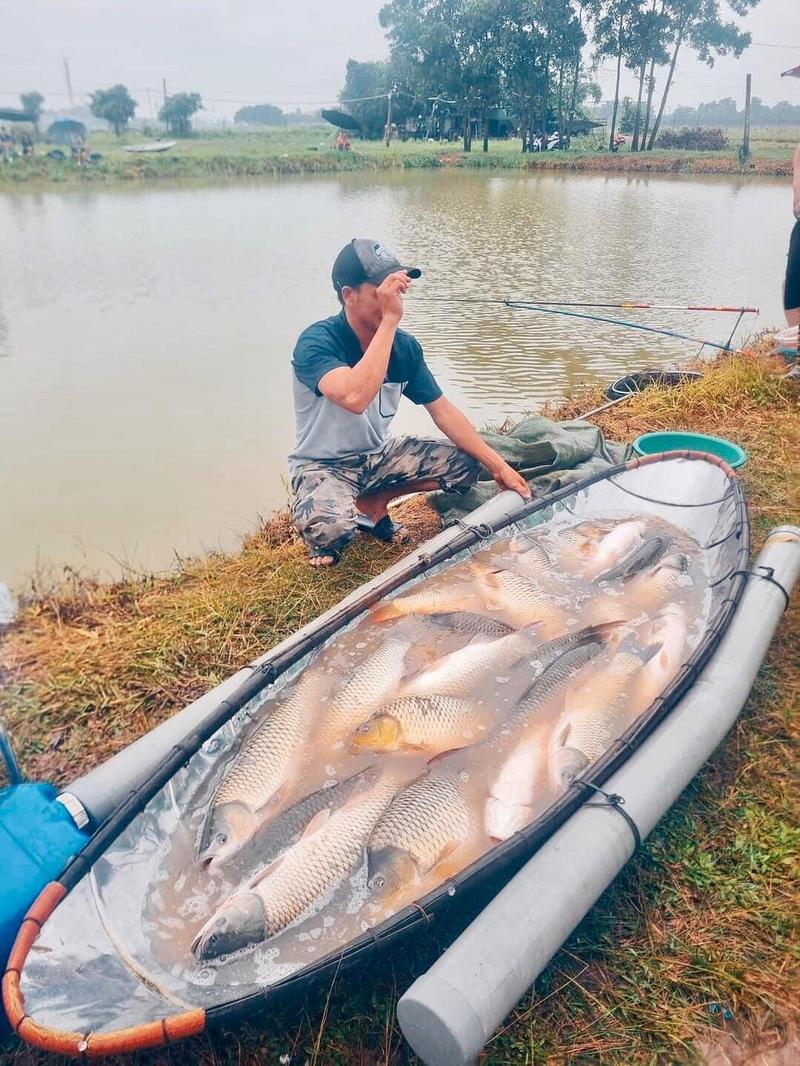 Product Introduction of Cám Chuyên Chép Thế Anh Fishing ( 600g ) bao móm hạng nặng cho anh em câu đài dịch vụ và tự nhiên. Phù hợp với cả chép cũ chép mới . Chép giòn chép thường #cauca #fishing#fish#bigfish#ThếAnhFishing Đi Câu Câu Cá Bắt Cá 23