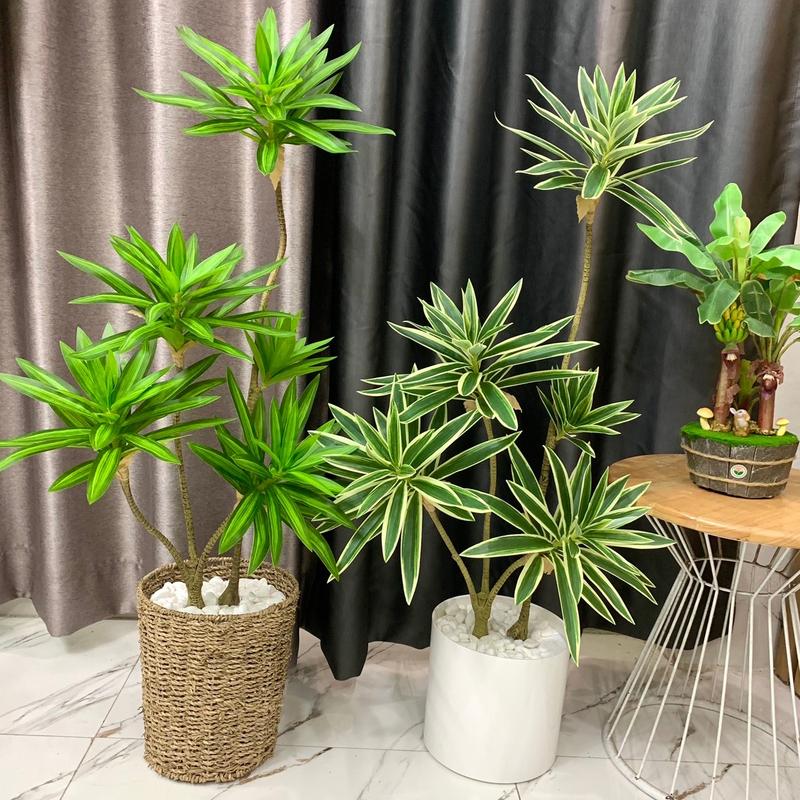  Cây thuỷ trúc cây phát lộc nhân tạo 90cm cắm lên chậu cao 1m cây giả trang trí Decor Decor Phòng Trang Trí Nhà 
