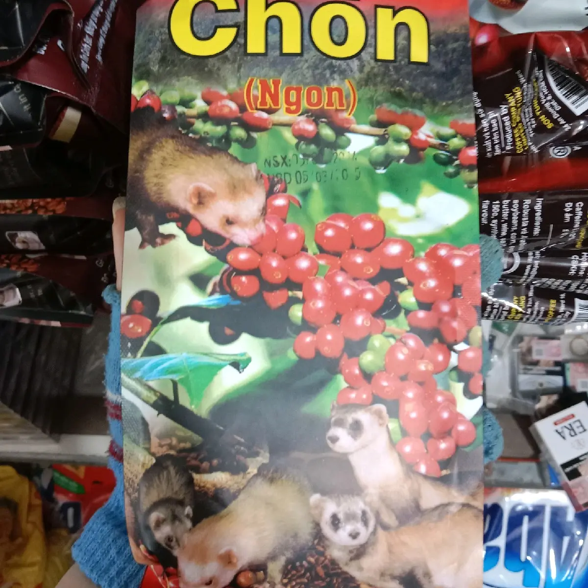 cà phê pha phin chồn ngon