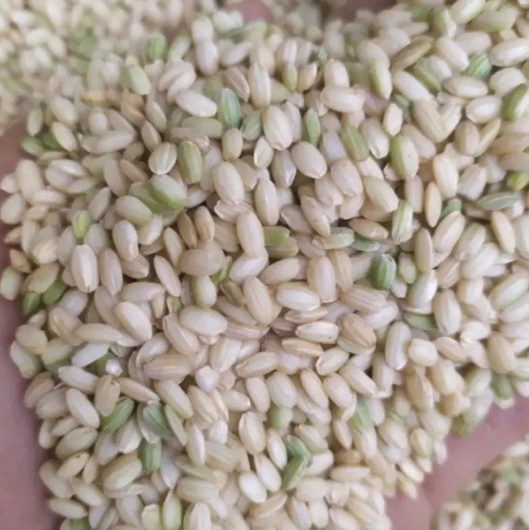 Gạo lứt nếp cái hoa vàng 1kg 0