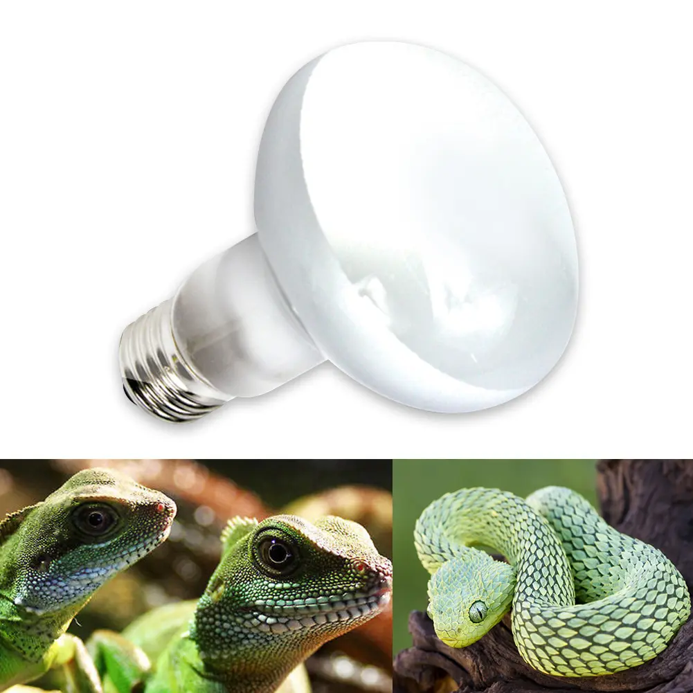 Reptile Pet Heating Lamp Full Spectrum Sunlight Basking Ultraviolet Lamp UVA Heater Bulb Aquarium Temperature Controller 220V