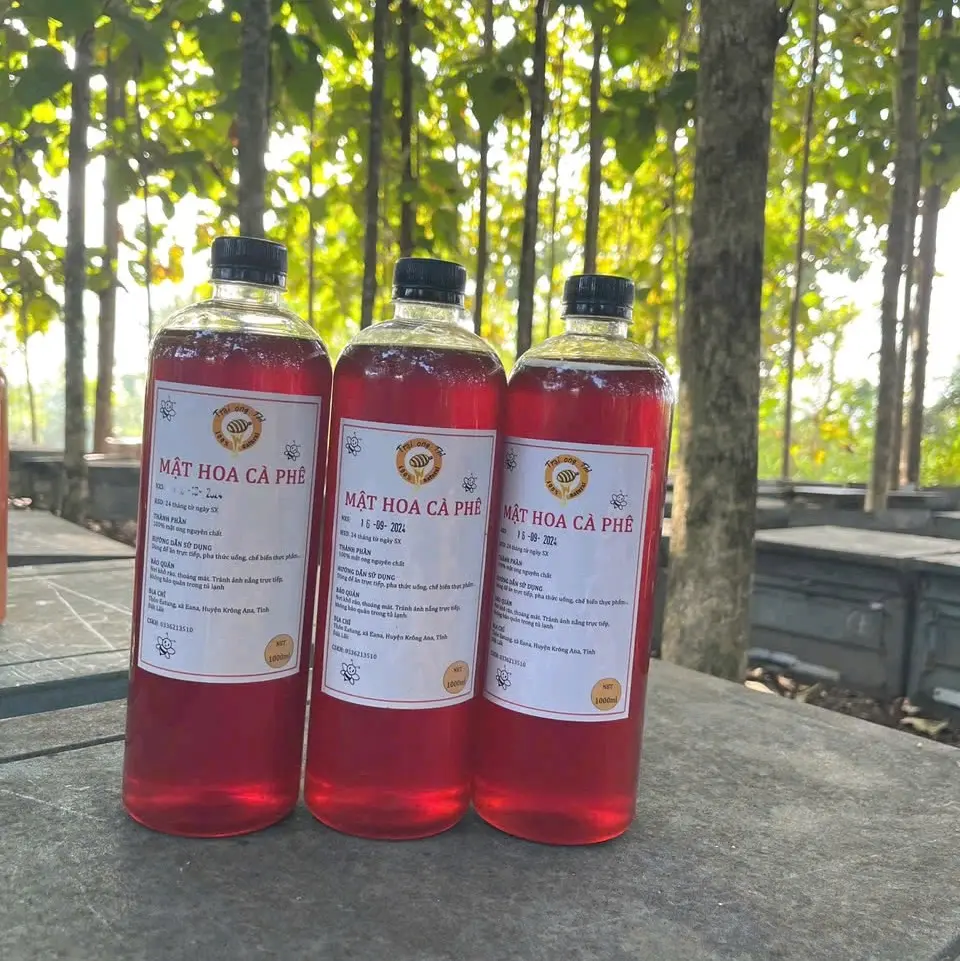 Combo 3 lít mật ong hoa cà phê nguyên chất Đăk Lăk Trại Ong Thỉ