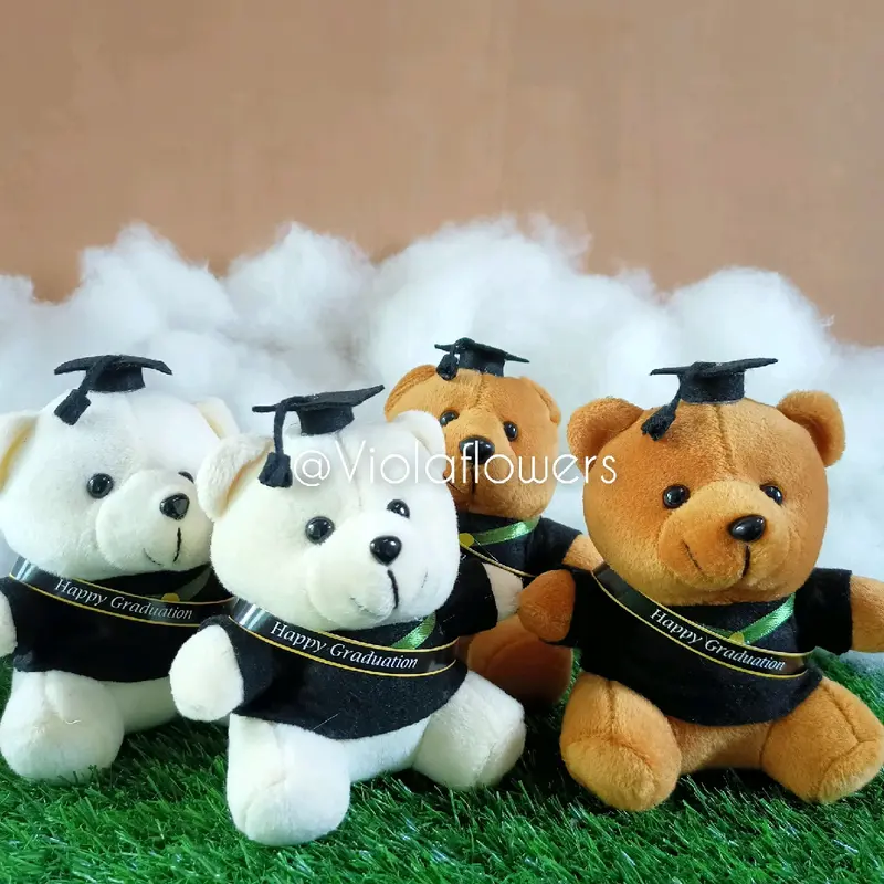 Boneka wisuda Teddy bear tinggi -/+15 cm 0