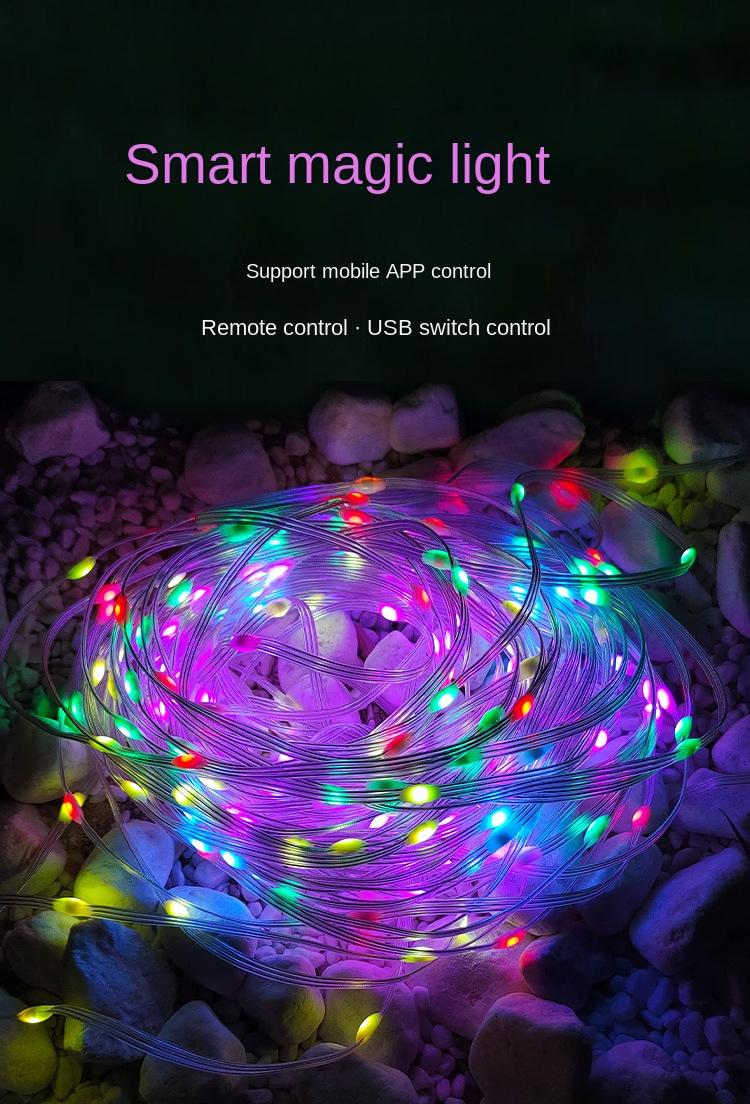Product Introduction of 5v-usb Magic Color Leather String Lights, Led Leather String Lights Suitable for Magic Lights Outdoor Waterproof Camping Christmas Lights Atmosphere Decorative Lights, Mobile Phone App、Remote、Voice Control Lights 11