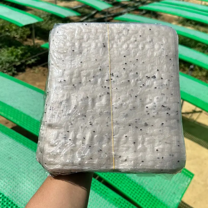 Combo 100 bánh Tráng + 2 chai mắm nêm 4