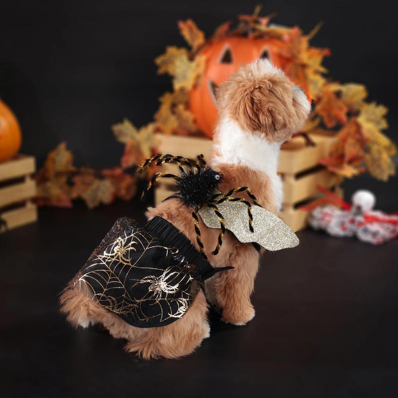 Product Introduction of Halloween Versatile Spider Set Small and Medium Dog Clothes 4