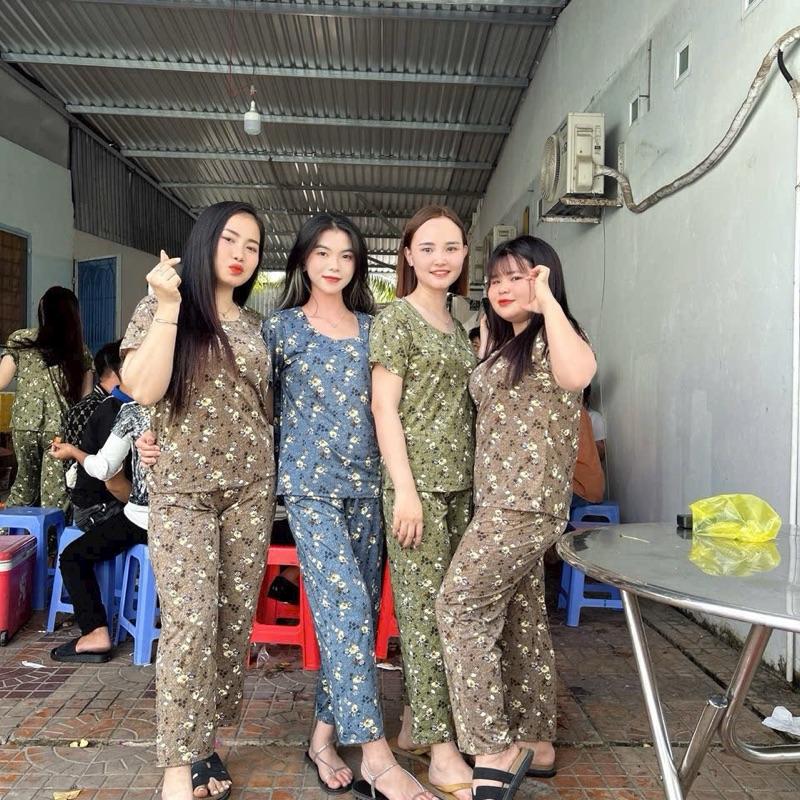 Đồ bộ trung nien cho Ngoại áo cổ tròn ko cài nút có 2 túi quần vải thun lạnh. size 35-70kg Nữ Women Top Voi