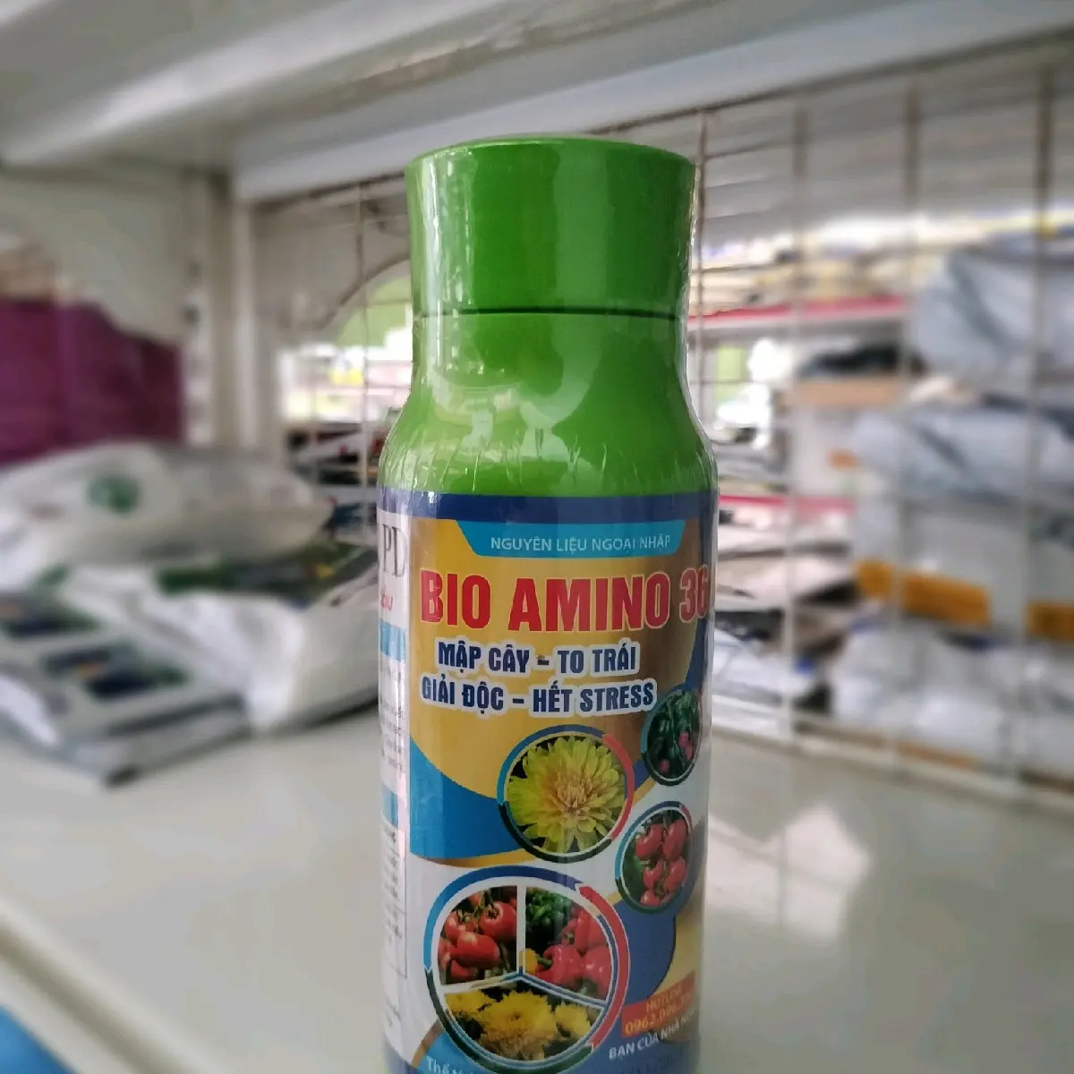 Amino rong biển+ đạm amino nuôi trái, to thân.