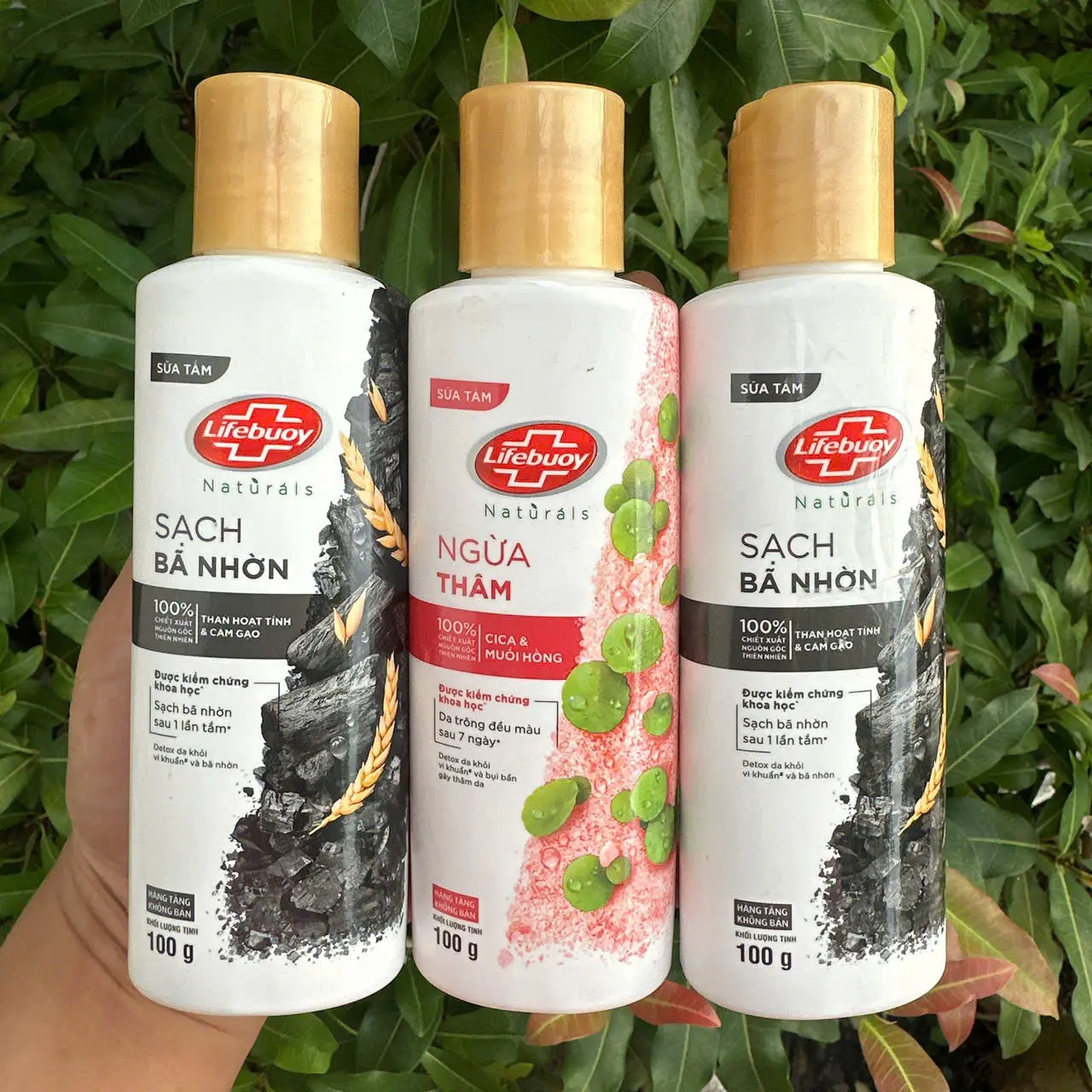 Set 3 Chai Sữa tắm Lifebuoy Chăm Sóc Chuyên Sâu, giúp detox sạch sâu và giảm mụn trên da chai 100g ()- Hàng khuyến mãi