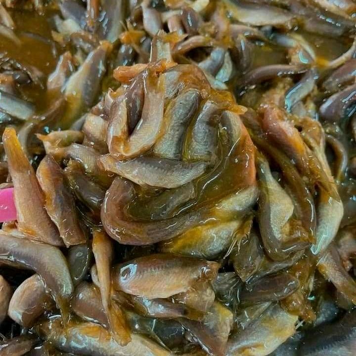 mắm cá linh loại ngon , (1 keo là 1kg ) 0