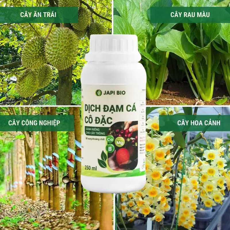 Phân bón hữu cơ Japi Bio (chai 1L) - Dịch đạm cá Amino, giúp cây xanh lá, bén rễ, đất tơi xốp 3
