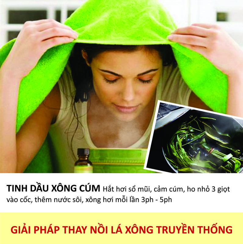 Tinh Dầu Lá Xông - Tặng Đèn Nến - Tặng Cốc Xông - Xông Cúm, Xông Hơi, Giải Cảm, Chăm Sóc Sức Khoẻ - Thơm Phòng, Thư Giãn - Dầu Thơm Phòng 2