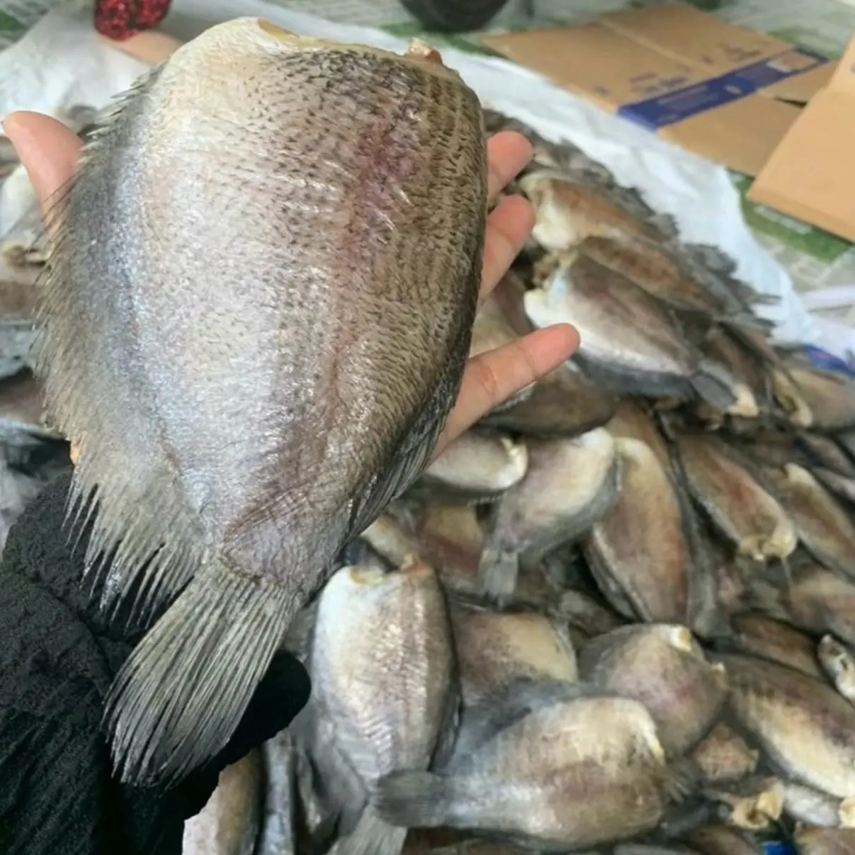 1 Ký Khô Cá Bổi 2 Nắng Vị Vừa (8-9 con) không ship miền bắc food
