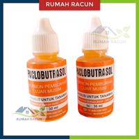 Gambar PACLOBUTRASOL HORMON PEMBUAHAN DI LUAR MUSIM 30 ML dari RUMAH RACUN Kab. Karanganyar 1 Tokopedia
