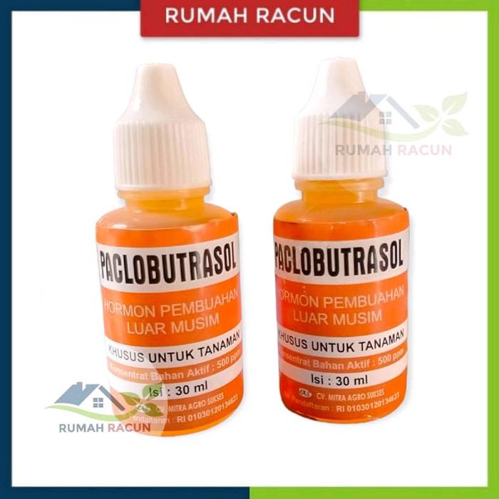 Gambar PACLOBUTRASOL HORMON PEMBUAHAN DI LUAR MUSIM 30 ML dari RUMAH RACUN Kab. Karanganyar Tokopedia