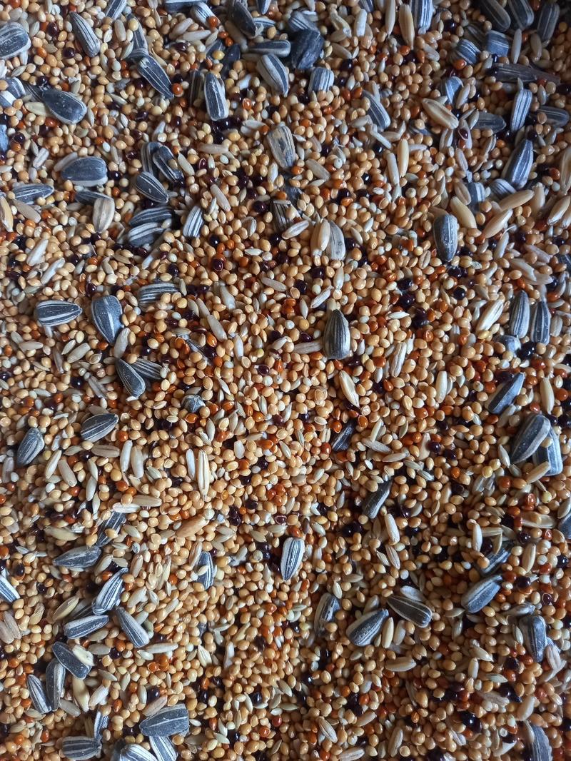 Product Introduction of African Mix Birdseed 500g - Nutritious Diet for Pet and Wild Birds - Sunflower, Millet, Safflower Seeds bird food Large Parakeet 5