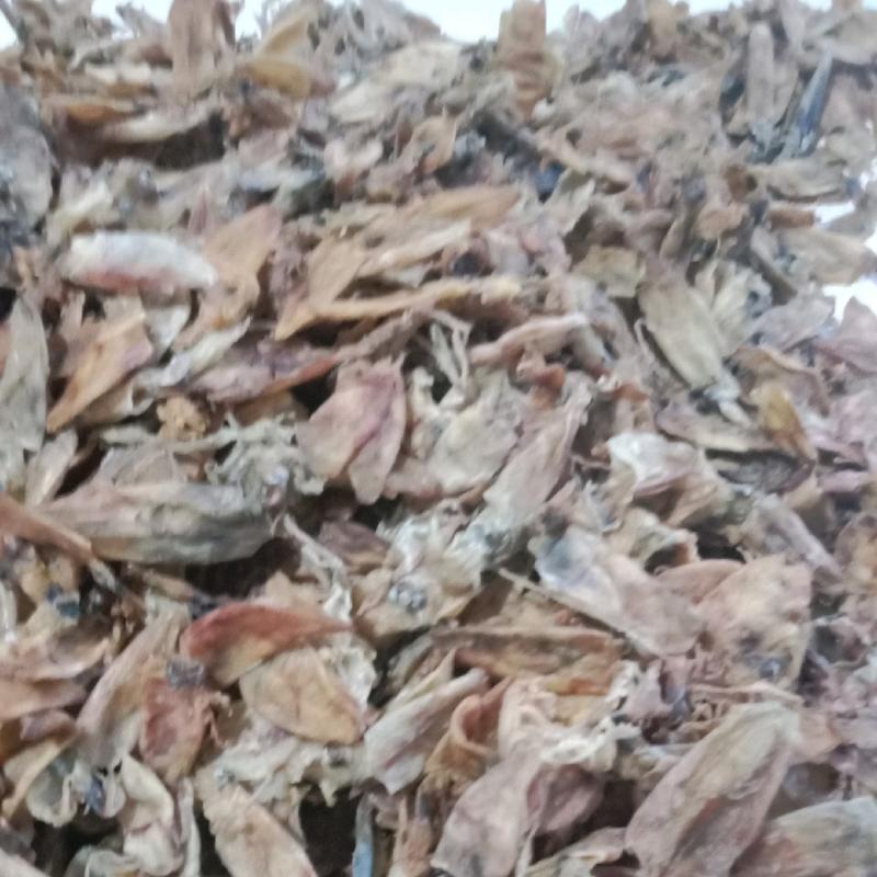 500g -mực chuối nguyên con màu không đẹp khô ráo combobanh trang miến ăn mì trộn vien chien
