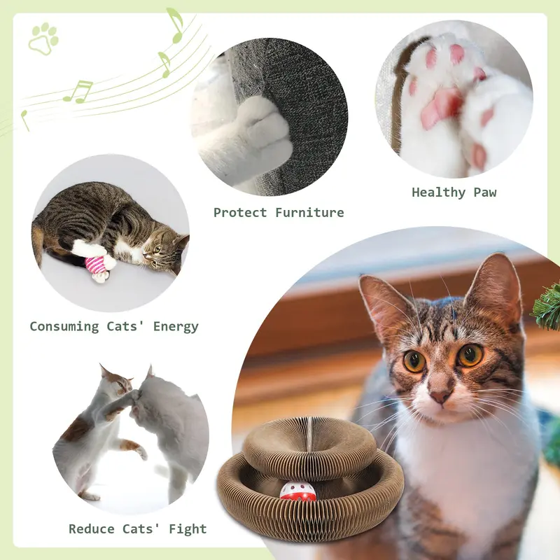 Magic Cat Scratching Board Toy with Random Color Ball, 1 Set Reversible Infinity Magic Organ Cat Toy, Durable Cat Scratcher, Pet Supplies, Cat Toys 3