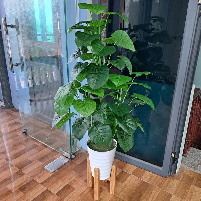 ( Mua cây tặng kèm chậu) Cây giả cao cấp , Cây trầu bà lá xanh ( giá xưởng)