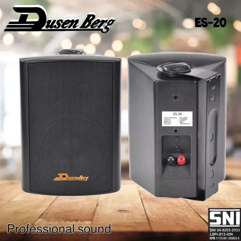 Speaker Dusenberg ES 20 Speaker monitor