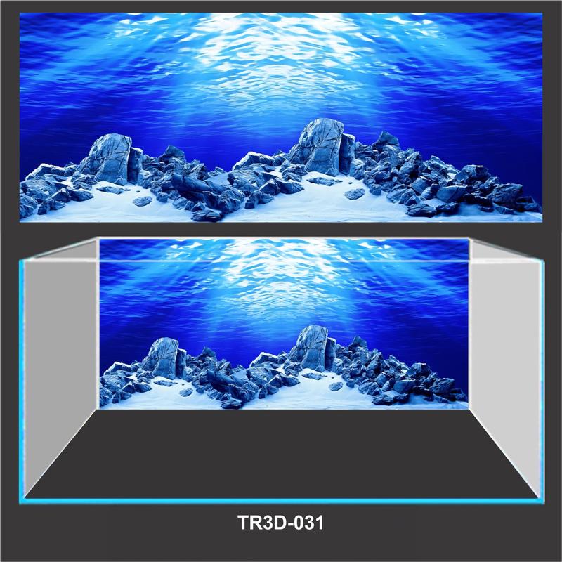 TRANH 3D DÁN BỂ CÁ MẪU ĐẠI DƯƠNG CHO BỂ THỦY SINH TR3D-031